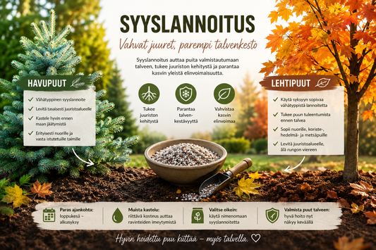 Syyslannoitus havu- ja lehtipuille – näin valmistelet puut talveen!